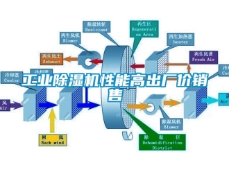 常見問題工業除濕機性能高出廠價銷售