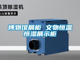 知識百科博物館展柜 文物恒溫恒濕展示柜