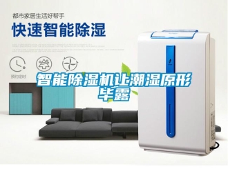 知識百科智能除濕機讓潮濕原形畢露