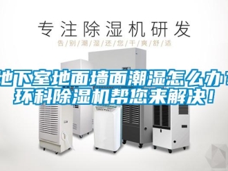 常見問題地下室地面墻面潮濕怎么辦？環科除濕機幫您來解決！