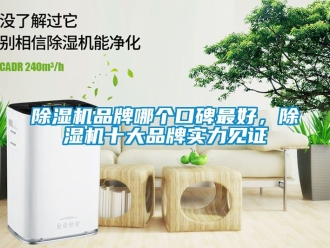 企業新聞除濕機品牌哪個口碑最好，除濕機十大品牌實力見證