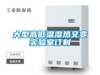 常見問題大型高低溫濕熱交變實驗室訂制