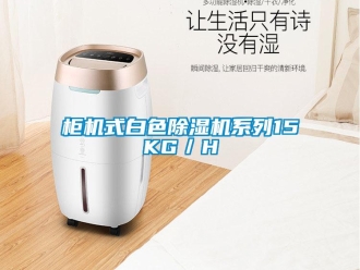 行業新聞柜機式白色除濕機系列15KG／H
