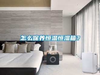 知識百科怎么保養恒溫恒濕箱？
