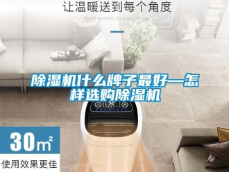 行業新聞除濕機什么牌子最好—怎樣選購除濕機