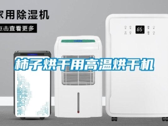 知識百科柿子烘干用高溫烘干機