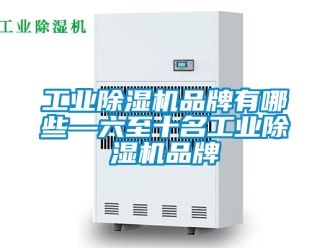 常見問題工業除濕機品牌有哪些—六至十名工業除濕機品牌