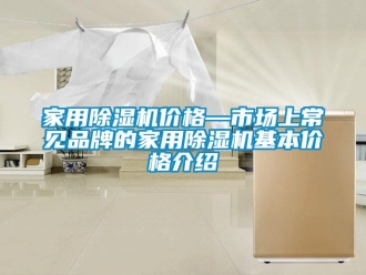 企業新聞家用除濕機價格—市場上常見品牌的家用除濕機基本價格介紹