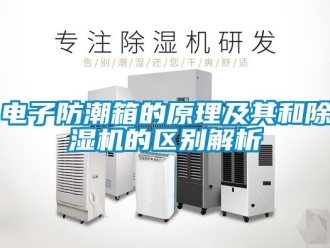 行業新聞電子防潮箱的原理及其和除濕機的區別解析