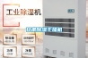 甘肅除濕干燥機
