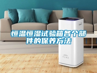 知識百科恒溫恒濕試驗箱各個部件的保養方法