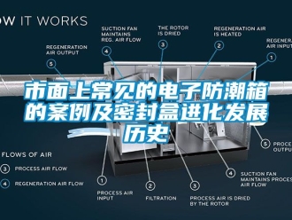 常見問題市面上常見的電子防潮箱的案例及密封盒進化發展歷史