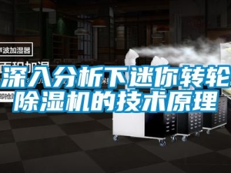 常見問題深入分析下迷你轉輪除濕機的技術原理