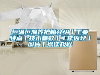 知識百科恒溫恒濕養護箱介紹丨主要特點丨技術參數丨工作原理丨圖片丨操作規程