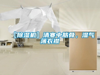 企業新聞【除濕機】清寒中筋骨，濕氣薄衣襟