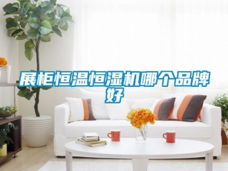 知識百科展柜恒溫恒濕機哪個品牌好