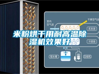行業新聞米粉烘干用耐高溫除濕機效果好