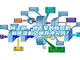 常見問題問上帝，地下室的新風機和除濕機之間有沖突嗎？