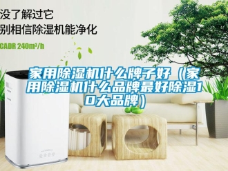 企業新聞家用除濕機什么牌子好（家用除濕機什么品牌最好除濕10大品牌）