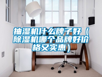 企業新聞抽濕機什么牌子好（除濕機哪個品牌好價格又實惠）