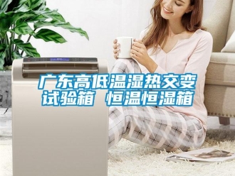 知識百科廣東高低溫濕熱交變試驗箱 恒溫恒濕箱