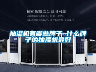 企業新聞抽濕機有哪些牌子 什么牌子的抽濕機最好