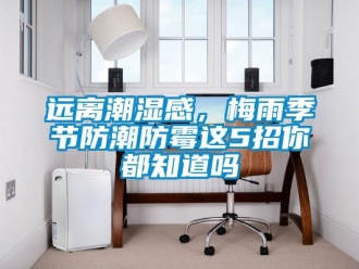 常見問題遠離潮濕感，梅雨季節防潮防霉這5招你都知道嗎