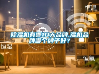 企業新聞除濕機有哪10大品牌,濕機品牌哪個牌子好？