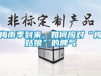 常見問題梅雨季到來，如何應對“梅姑娘”的脾氣