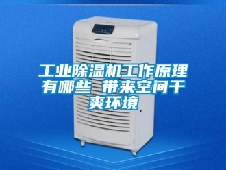 常見問題工業除濕機工作原理有哪些 帶來空間干爽環境