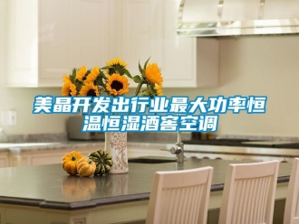 知識百科美晶開發出行業最大功率恒溫恒濕酒窖空調
