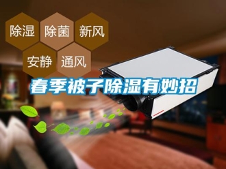 企業新聞春季被子除濕有妙招