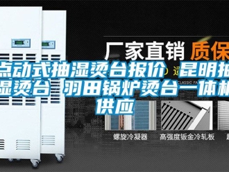 企業新聞點動式抽濕燙臺報價 昆明抽濕燙臺 羽田鍋爐燙臺一體機供應