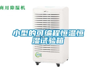 知識百科小型的可編程恒溫恒濕試驗箱