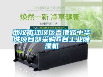 常見問題武漢市江漢區香港路中華城項目部采購6臺工業除濕機