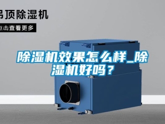 行業新聞除濕機效果怎么樣_除濕機好嗎？