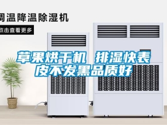 企業新聞草果烘干機 排濕快表皮不發黑品質好