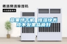 草果烘干機 排濕快表皮不發黑品質好
