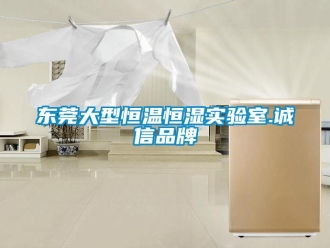 知識百科東莞大型恒溫恒濕實驗室.誠信品牌