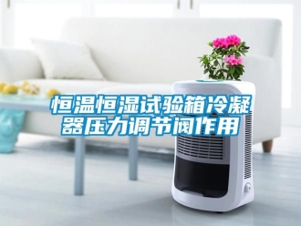 知識百科恒溫恒濕試驗箱冷凝器壓力調節閥作用