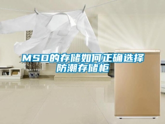 企業新聞MSD的存儲如何正確選擇防潮存儲柜