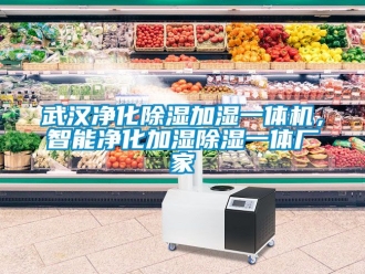 企業新聞武漢凈化除濕加濕一體機，智能凈化加濕除濕一體廠家
