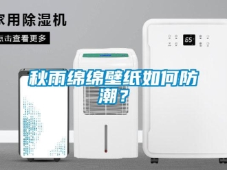 常見問題秋雨綿綿壁紙如何防潮？