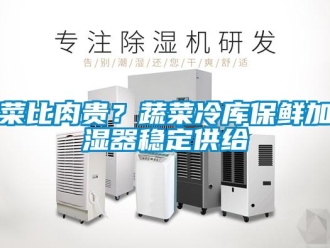 企業新聞菜比肉貴？蔬菜冷庫保鮮加濕器穩定供給