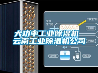 常見問題大功率工業除濕機 云南工業除濕機公司