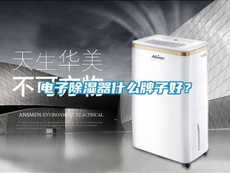 行業新聞電子除濕器什么牌子好？