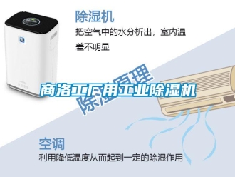 常見問題商洛工廠用工業除濕機