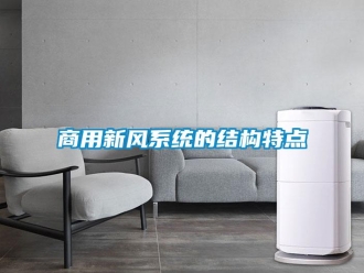 知識百科商用新風系統的結構特點