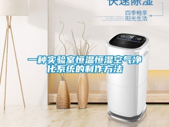 知識百科一種實驗室恒溫恒濕空氣凈化系統的制作方法