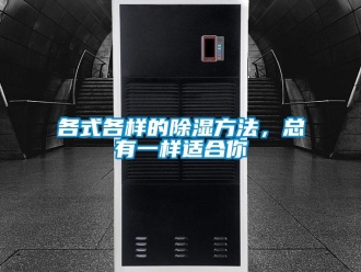 企業新聞各式各樣的除濕方法，總有一樣適合你